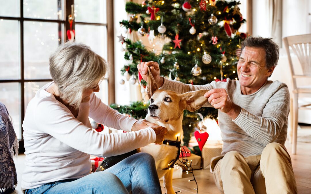 Tips for Joyful Celebrations and a Happy Holiday Season for Senior Pets